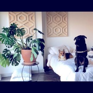 Meet your Posher, Casey